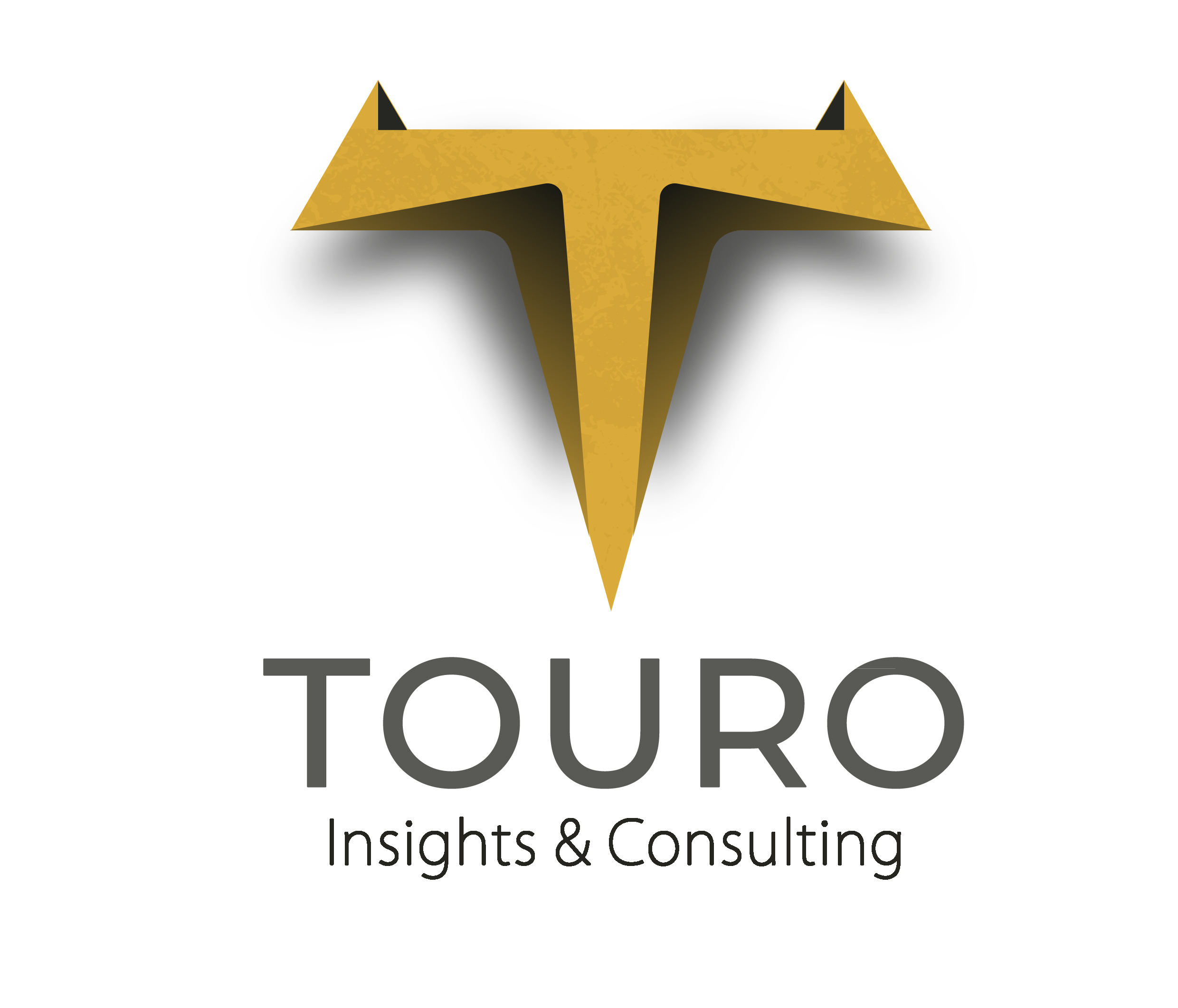LOGO_TOURO_WHITEBACKGROUNDv4